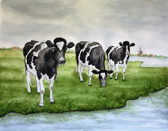 Koeien aan het Tienhovens kanaal.